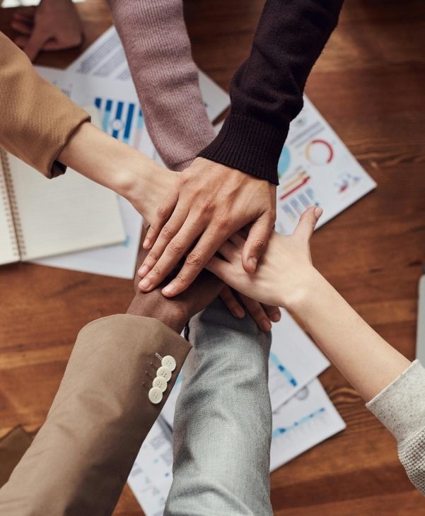 Provider & Care Partnerships